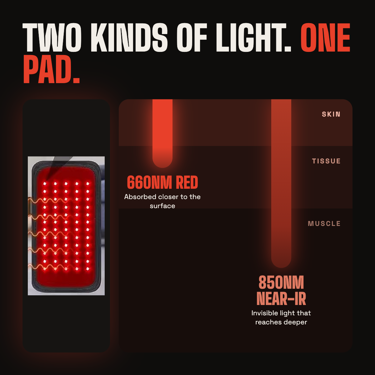 Diagram: 660nm red light is absorbed near the skin, 850nm near-infrared reaches deeper into muscle